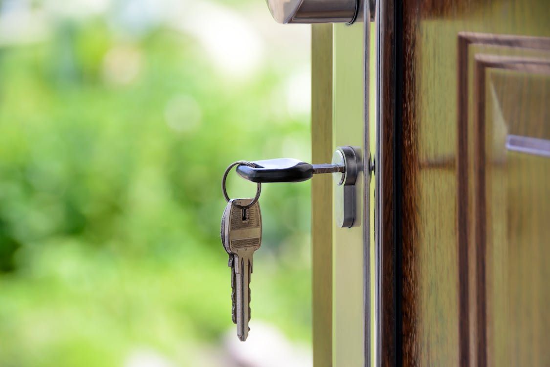 Who are the top-rated long-distance moving companies based in Denver?